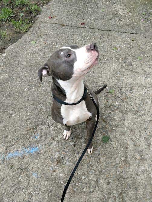 media 3